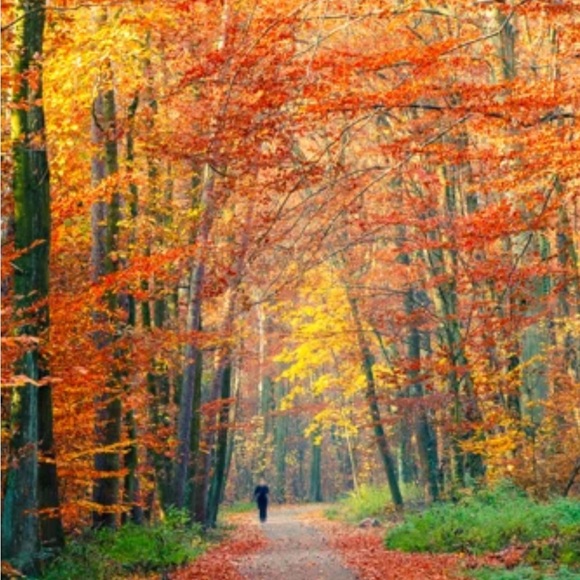 🔥Ridiculously nice Leather Gucci Bamboo-EUC🔥FREE GUCCI WALLWT‼️ - Picture 2 of 2